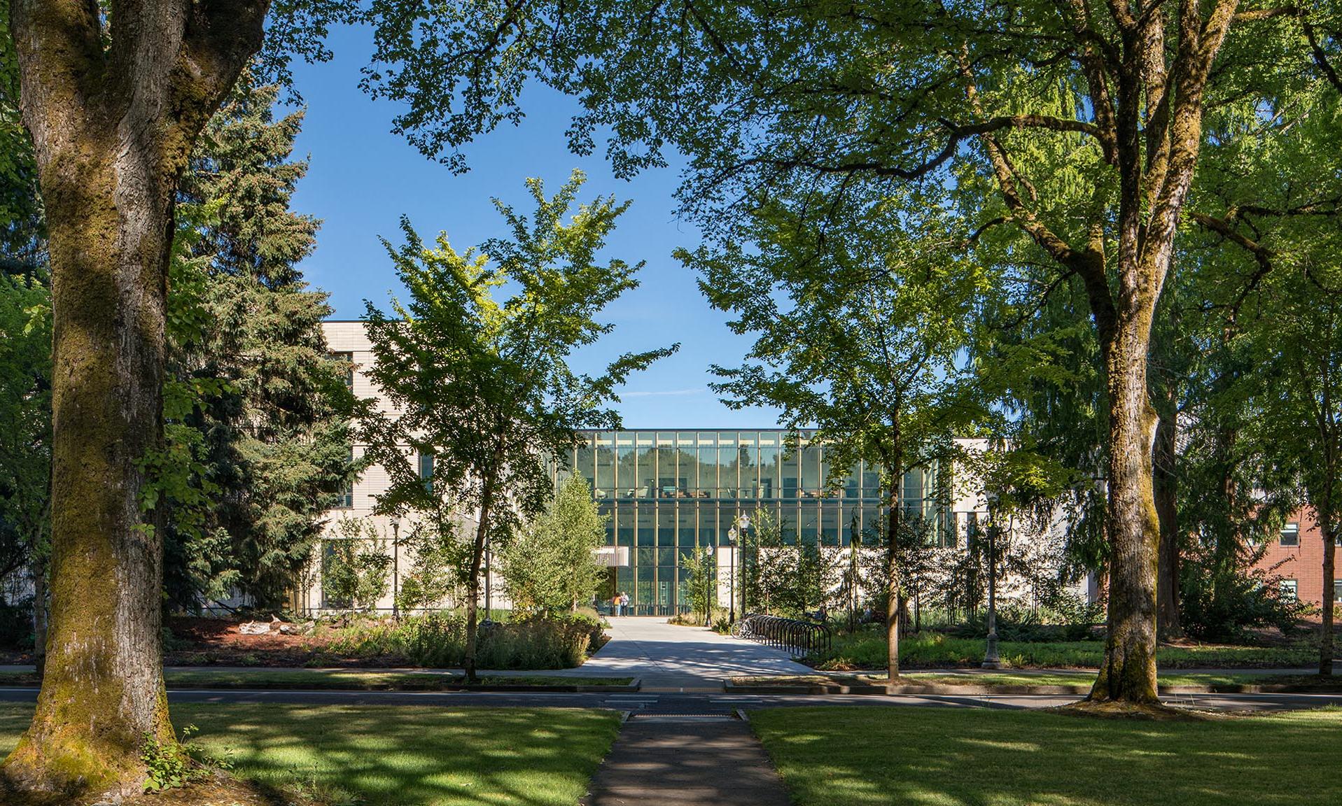 俄勒冈州立大学森林科学综合大楼通过树木的外部视图
